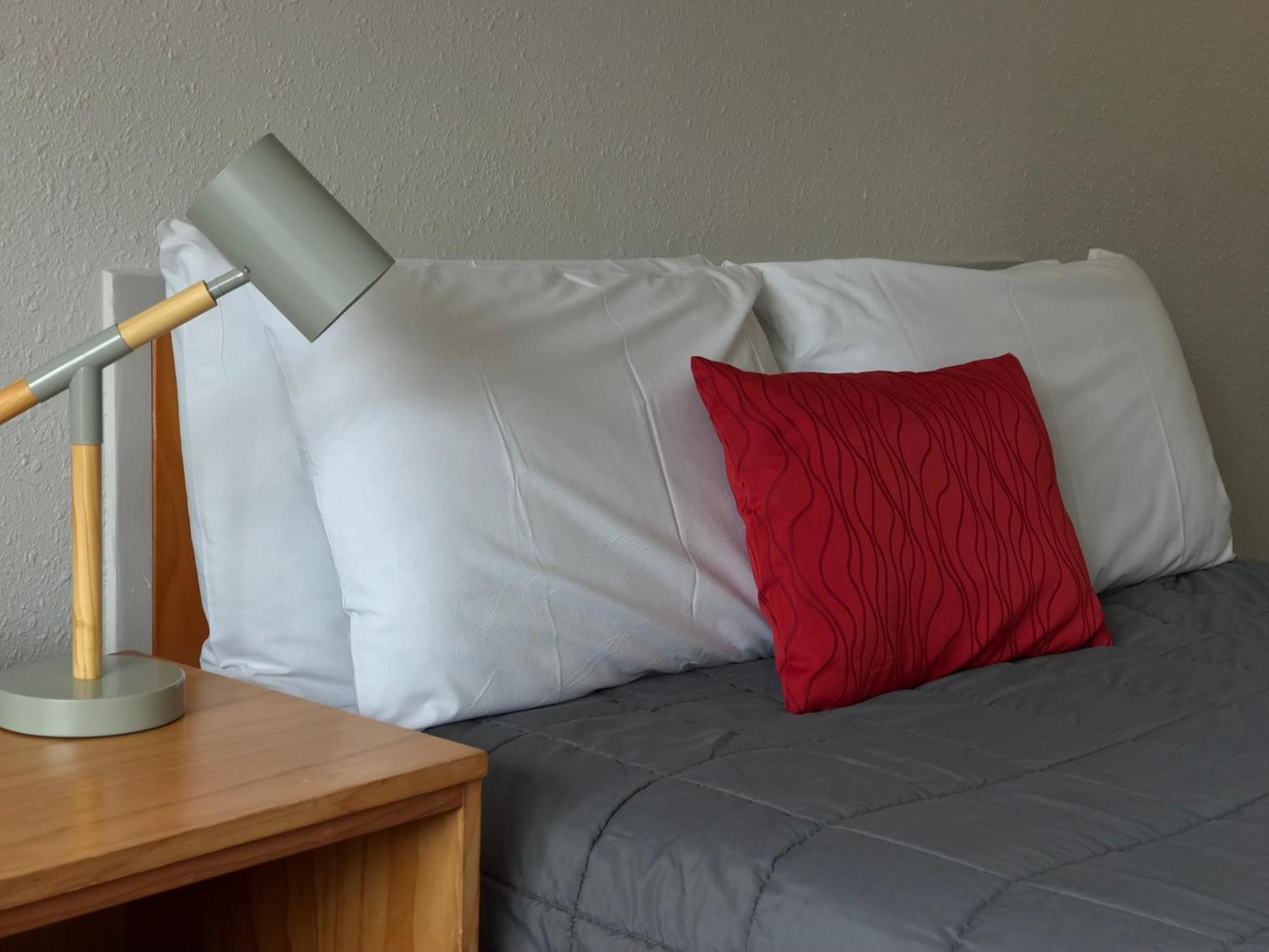 Edelweiss Motel Paihia Cameră foto